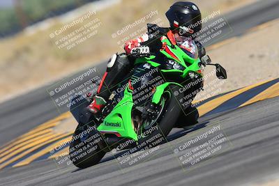 media/Oct-05-2024-Race Pace (Sat) [[aa7b44e117]]/7-Turn 16 (945am/